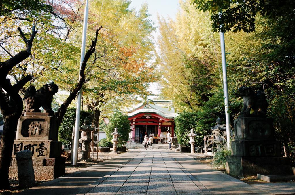 f:id:sweeteatime:20171108134236j:plain