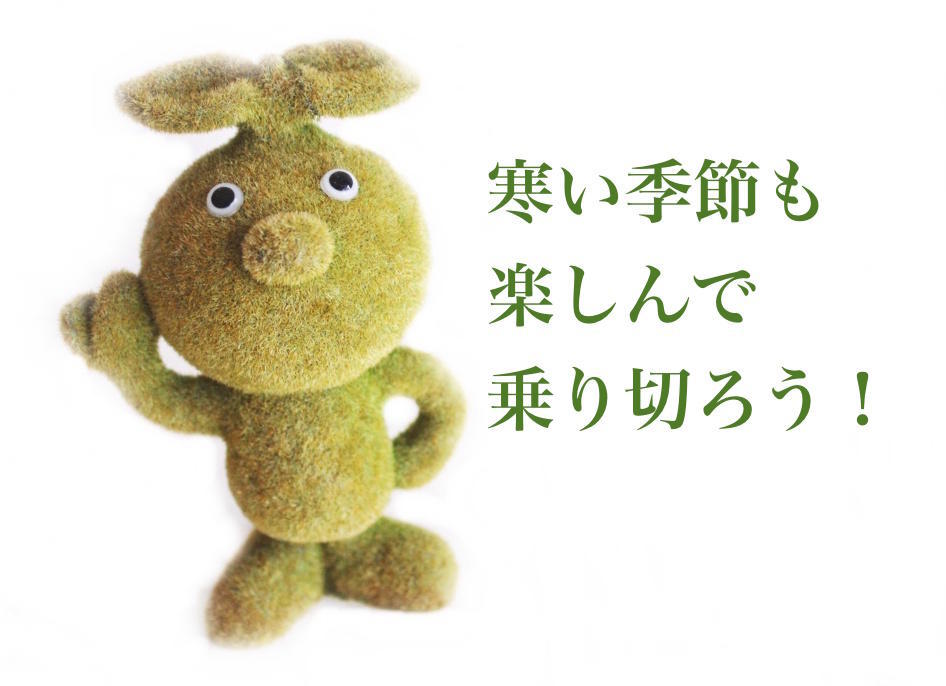 f:id:sweeteatime:20180125183944j:plain f:id:sweeteatime:20180125183944j:plain