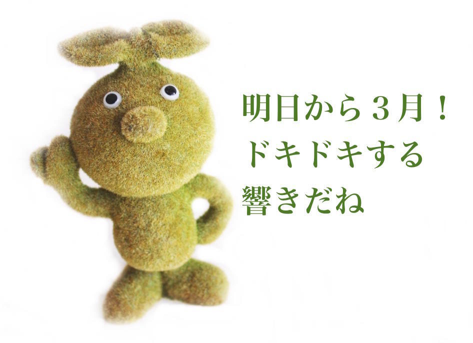 f:id:sweeteatime:20180301000008j:plain