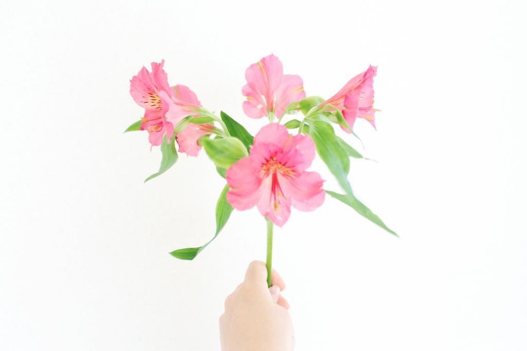 f:id:sweeteatime:20180307191747j:plain f:id:sweeteatime:20180307191747j:plain