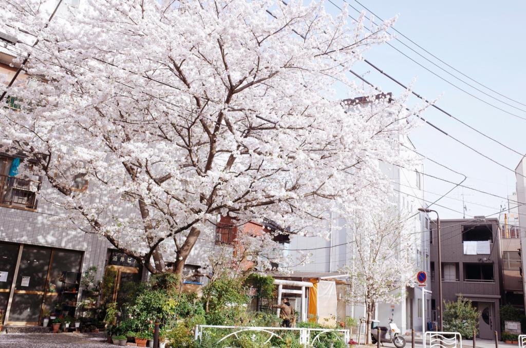 f:id:sweeteatime:20180403221750j:plain f:id:sweeteatime:20180403221750j:plain