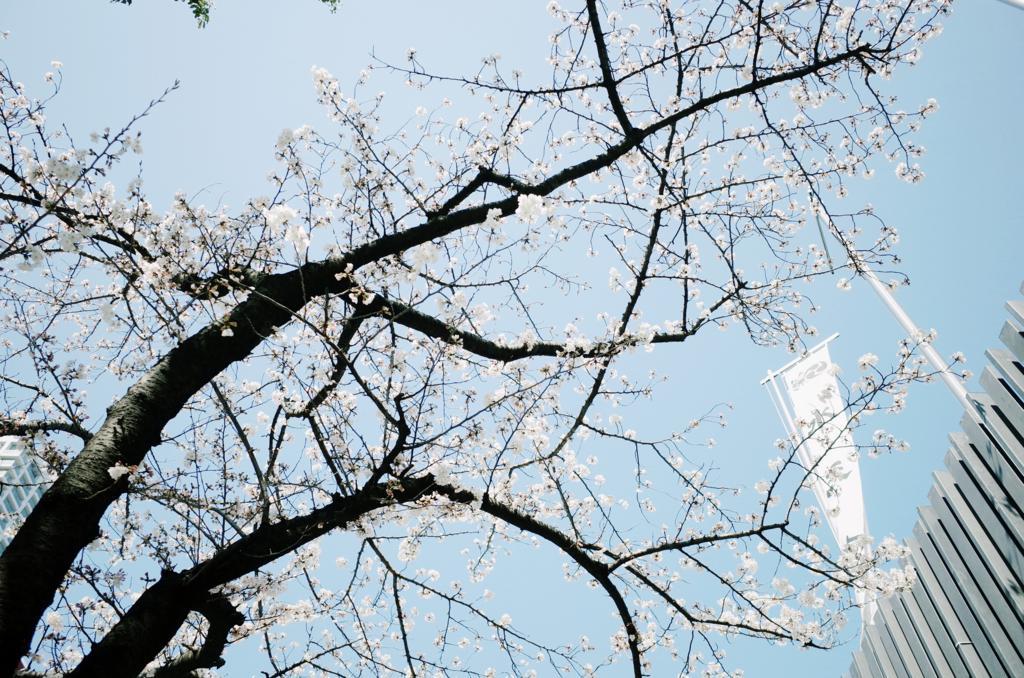 f:id:sweeteatime:20180419222836j:plain f:id:sweeteatime:20180419222836j:plain