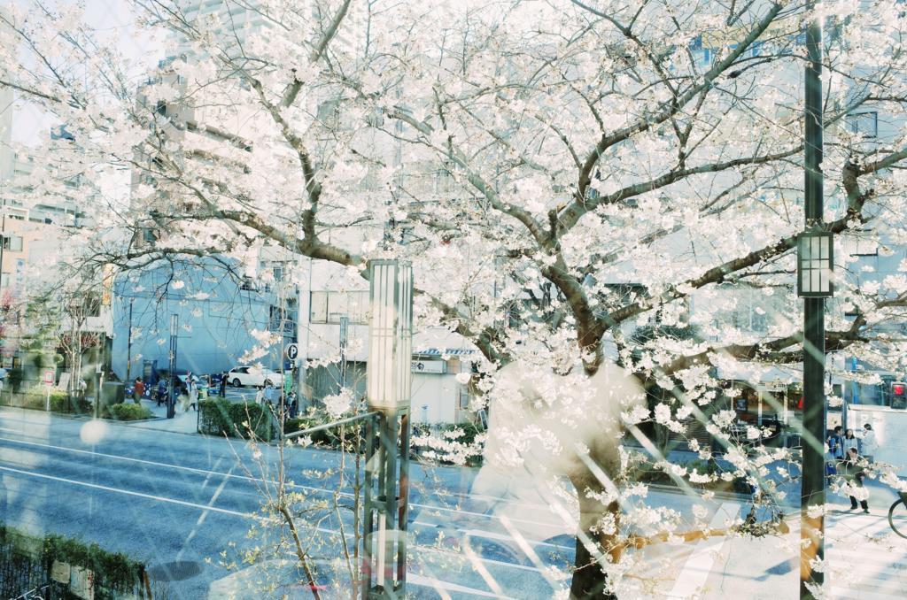 f:id:sweeteatime:20180419223130j:plain f:id:sweeteatime:20180419223130j:plain