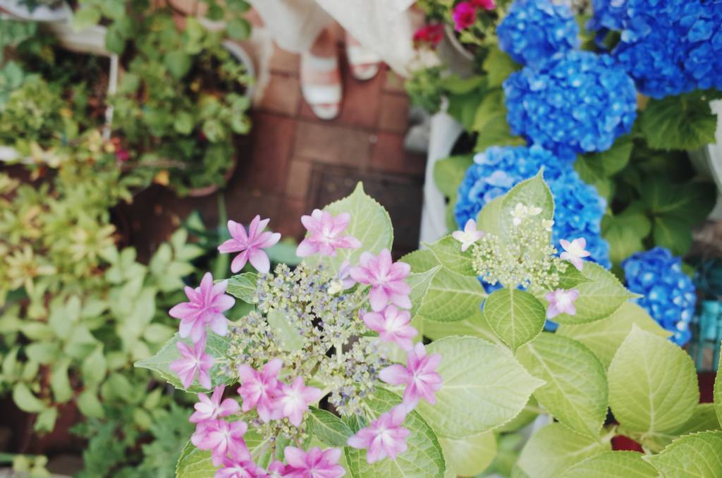 f:id:sweeteatime:20180608092110j:plain