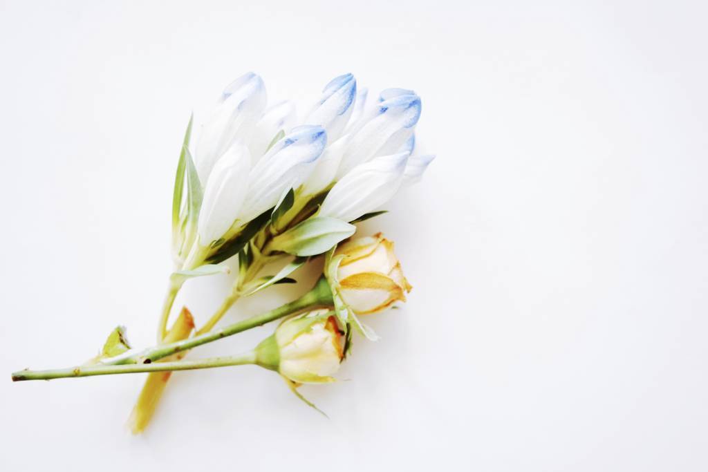 f:id:sweeteatime:20180611194332j:plain f:id:sweeteatime:20180611194332j:plain