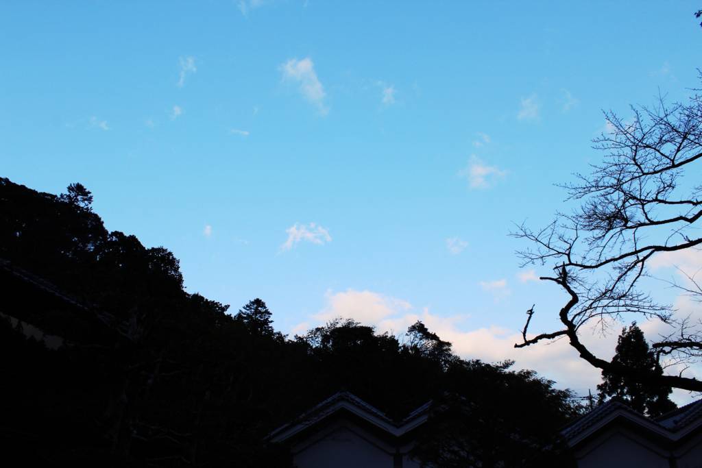f:id:sweeteatime:20180613001355j:plain f:id:sweeteatime:20180613001355j:plain