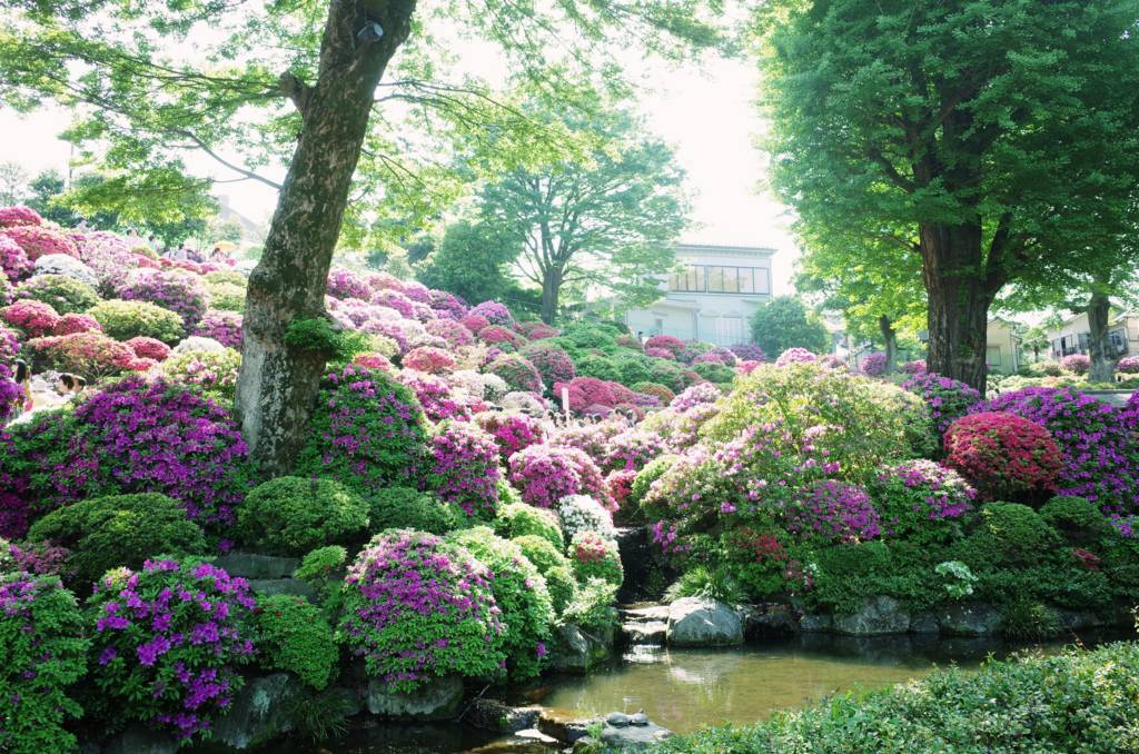 f:id:sweeteatime:20180614160204j:plain f:id:sweeteatime:20180614160204j:plain