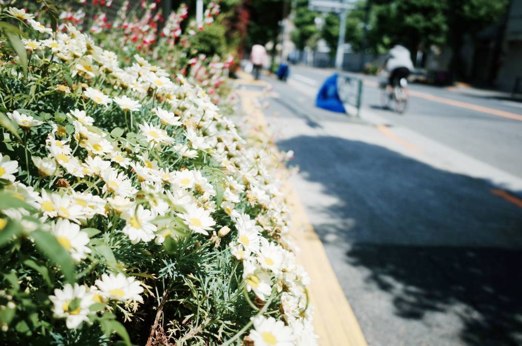 f:id:sweeteatime:20180614161724j:plain f:id:sweeteatime:20180614161724j:plain