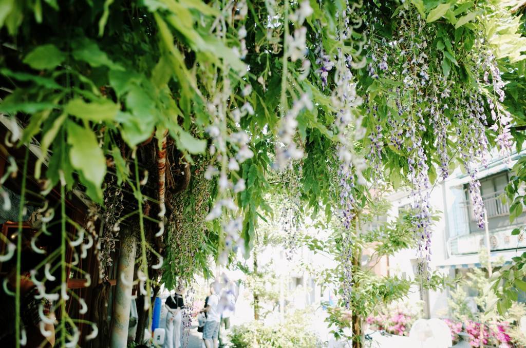 f:id:sweeteatime:20180614162022j:plain f:id:sweeteatime:20180614162022j:plain