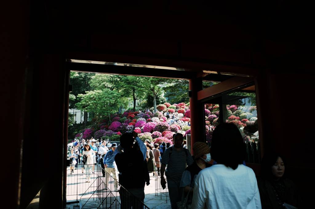 f:id:sweeteatime:20180614163643j:plain f:id:sweeteatime:20180614163643j:plain