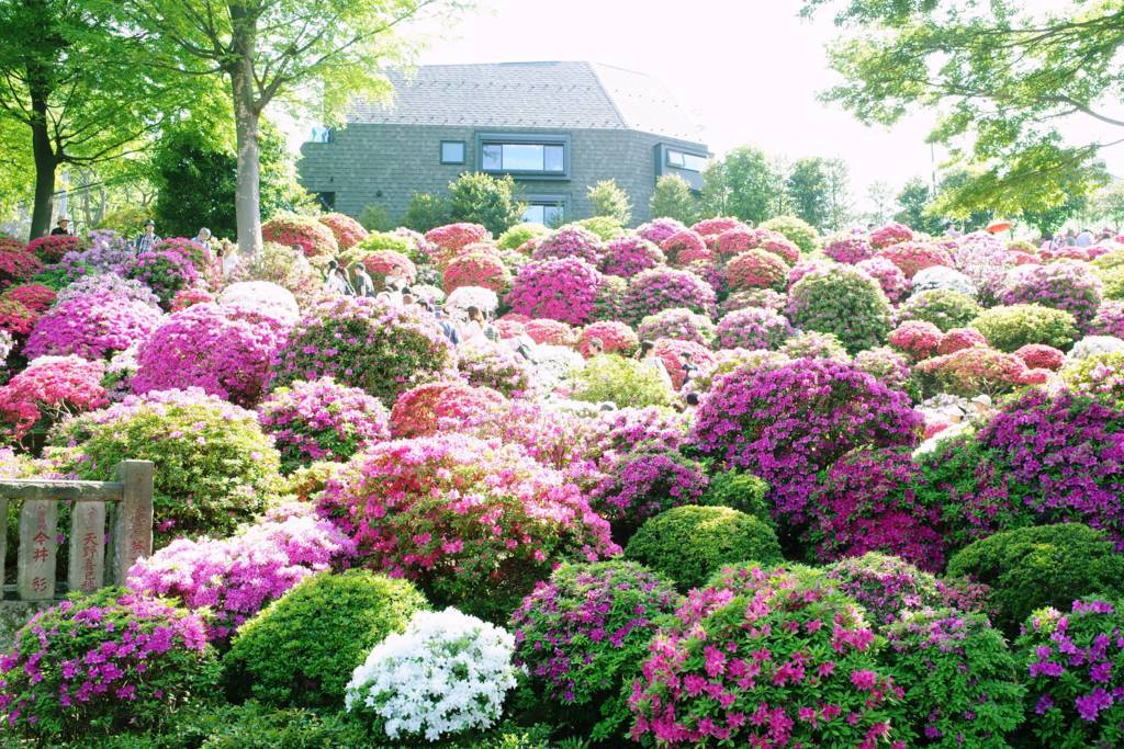 f:id:sweeteatime:20180615210341j:plain f:id:sweeteatime:20180615210341j:plain