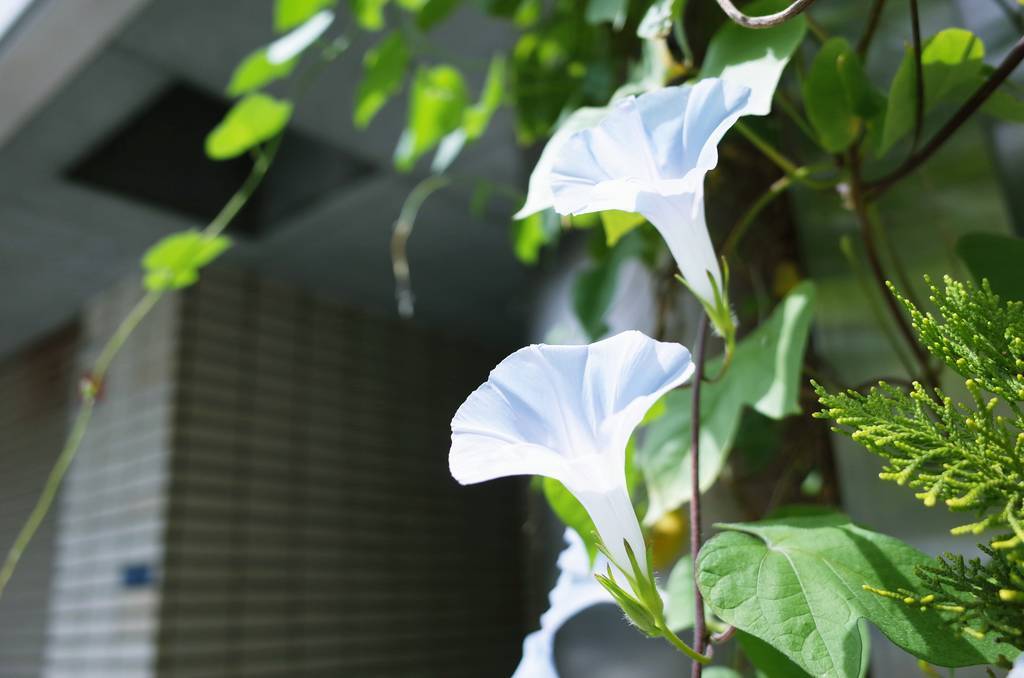 f:id:sweeteatime:20180912205239j:plain f:id:sweeteatime:20180912205239j:plain