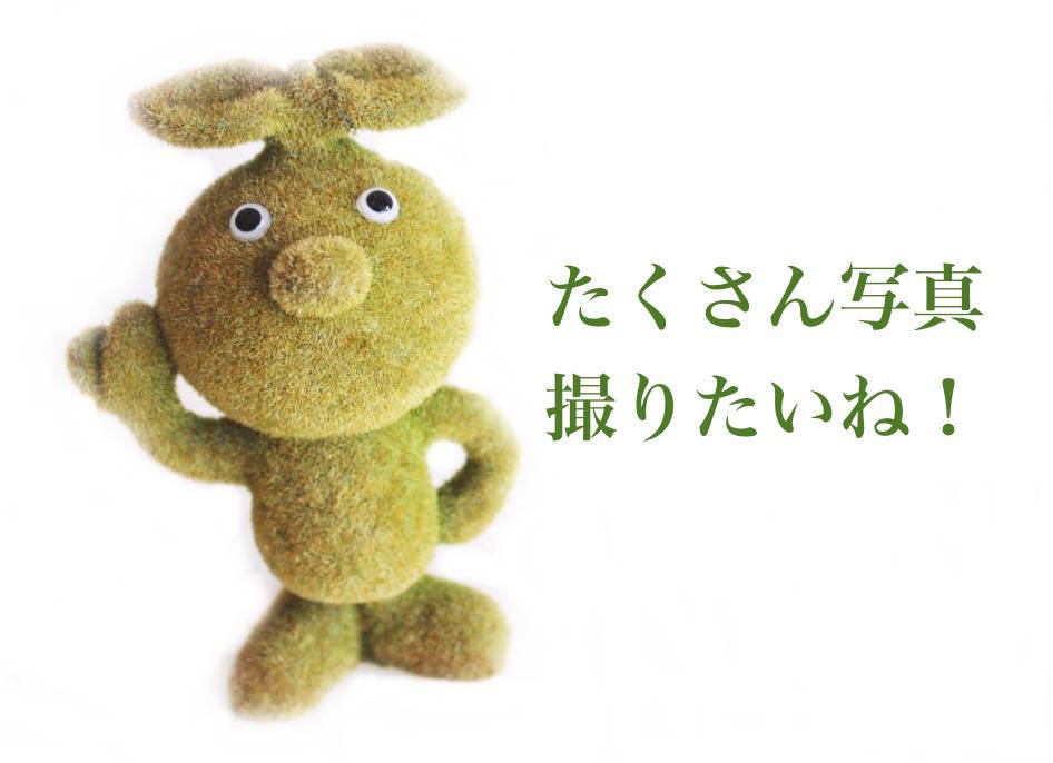 f:id:sweeteatime:20180914180945j:plain
