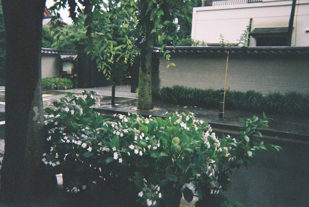f:id:sweeteatime:20180926160516j:plain
