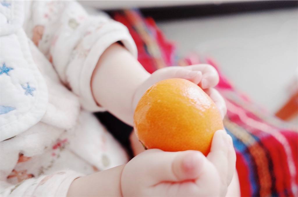 f:id:sweeteatime:20190103185721j:plain f:id:sweeteatime:20190103185721j:plain