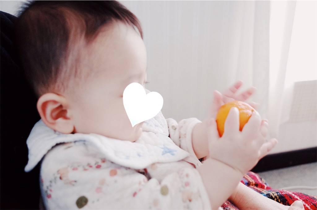 f:id:sweeteatime:20190103185747j:plain f:id:sweeteatime:20190103185747j:plain