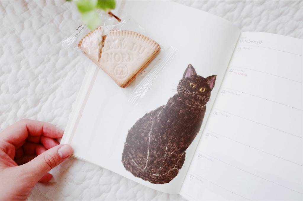 f:id:sweeteatime:20190105200904j:plain f:id:sweeteatime:20190105200904j:plain