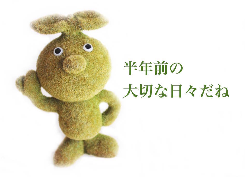 f:id:sweeteatime:20190108220058j:plain f:id:sweeteatime:20190108220058j:plain
