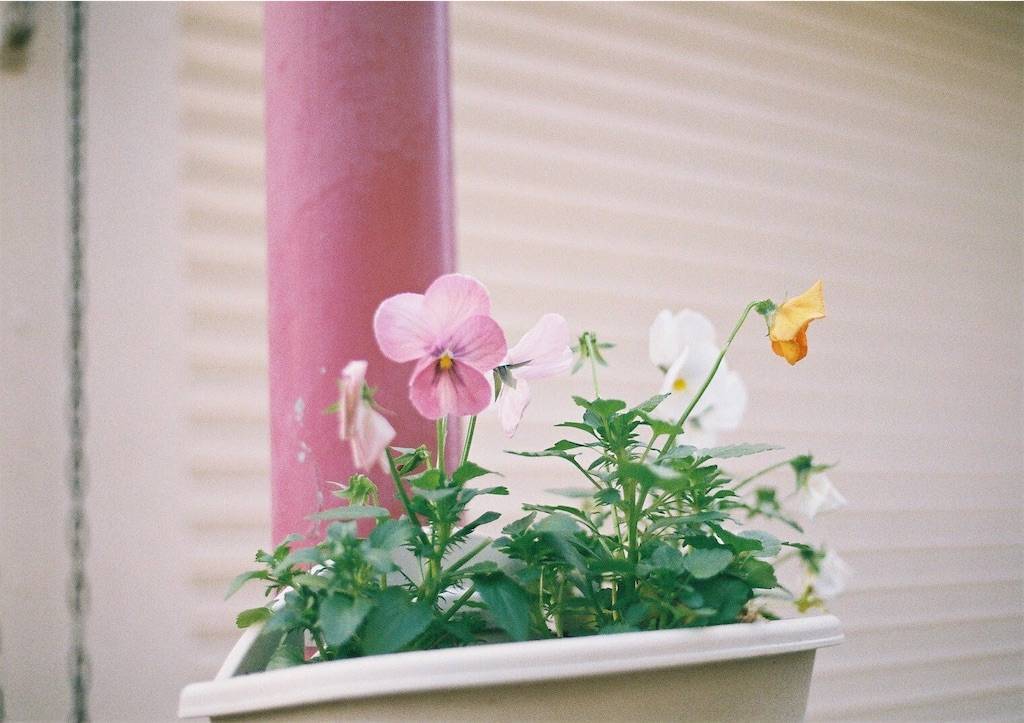 f:id:sweeteatime:20190202011726j:plain