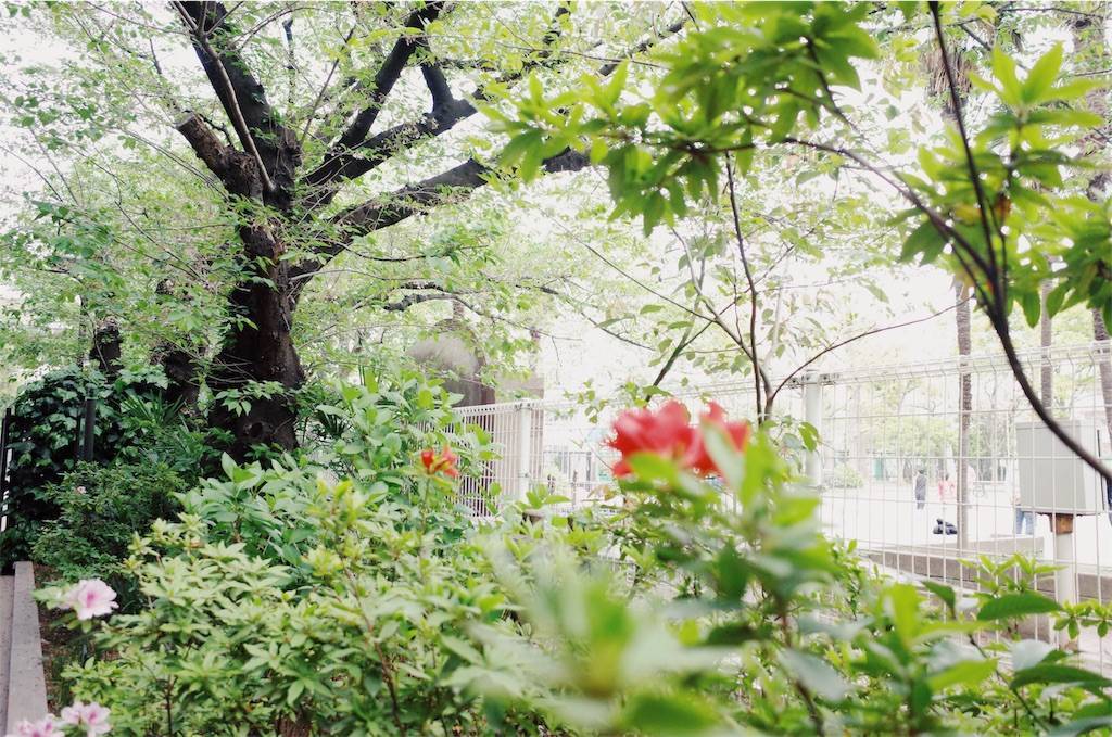 f:id:sweeteatime:20190423004113j:plain f:id:sweeteatime:20190423004113j:plain