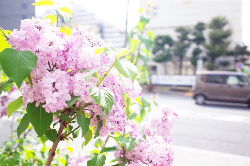 f:id:sweeteatime:20190423004150j:plain f:id:sweeteatime:20190423004150j:plain