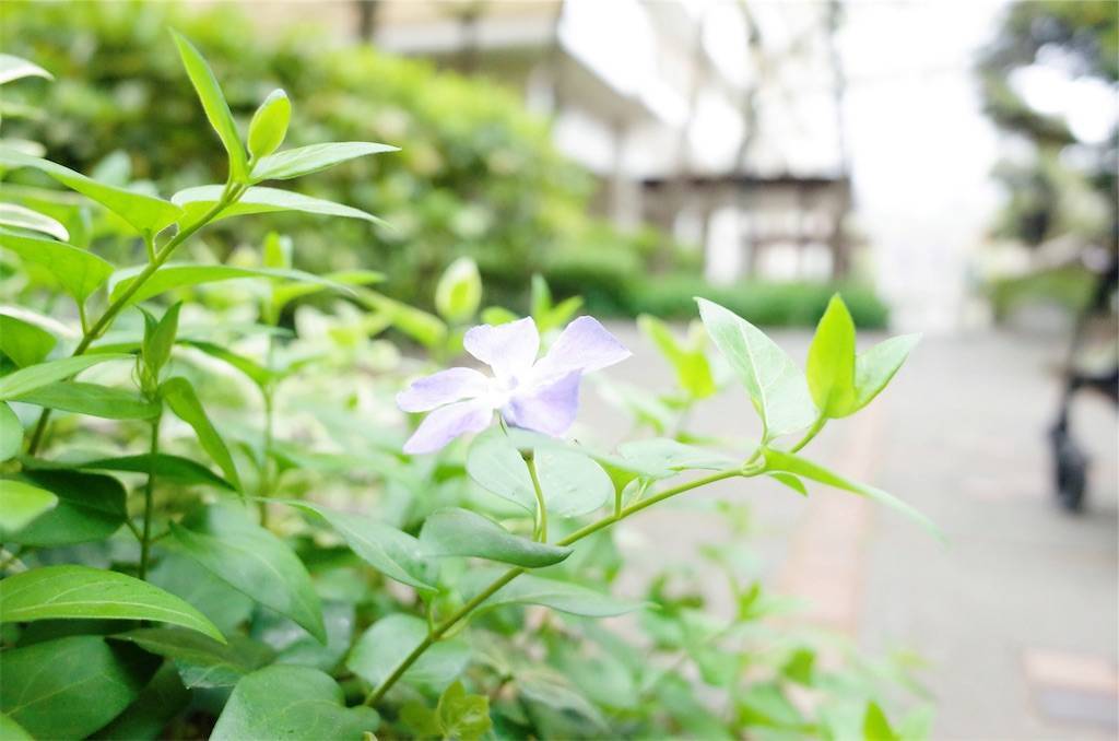 f:id:sweeteatime:20190423004229j:plain f:id:sweeteatime:20190423004229j:plain