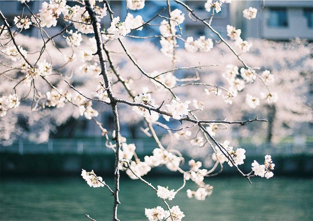 f:id:sweeteatime:20190430193848j:plain f:id:sweeteatime:20190430193848j:plain