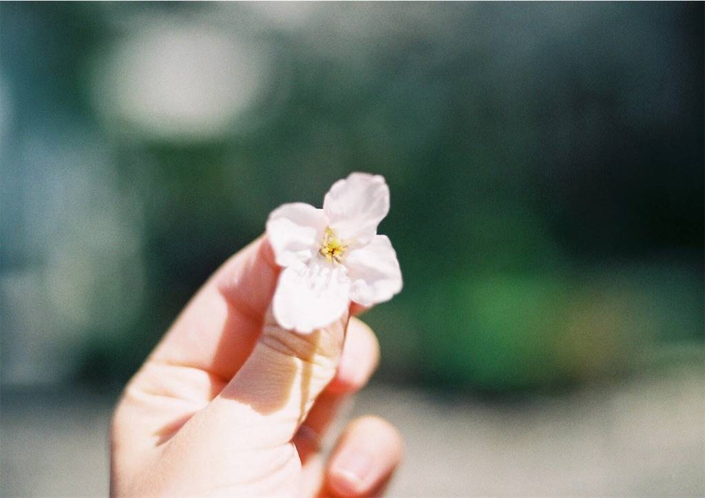 f:id:sweeteatime:20190430193920j:plain f:id:sweeteatime:20190430193920j:plain