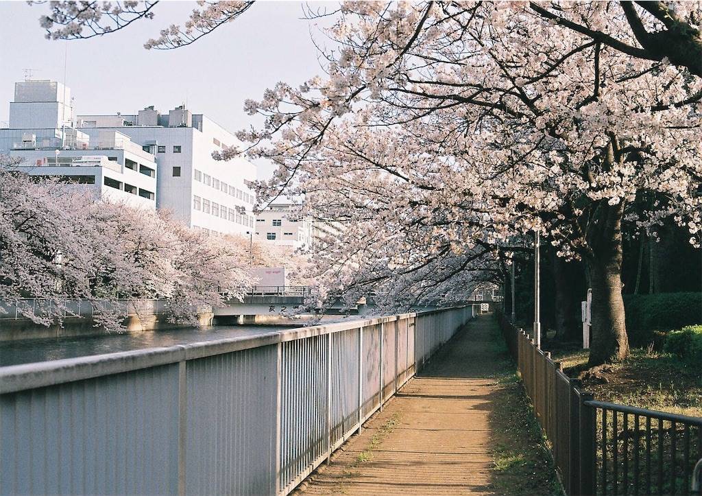 f:id:sweeteatime:20190430194006j:plain