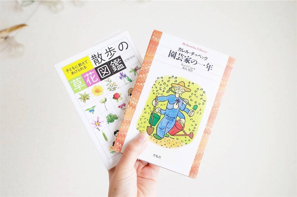 f:id:sweeteatime:20190603135416j:plain
