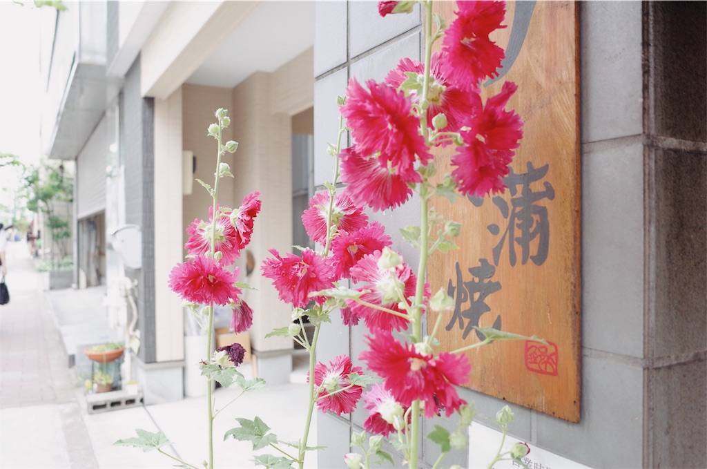 f:id:sweeteatime:20190609185548j:plain