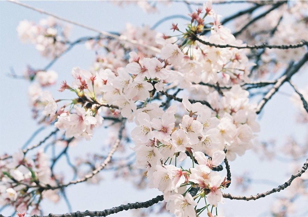 f:id:sweeteatime:20190609235818j:plain f:id:sweeteatime:20190609235818j:plain