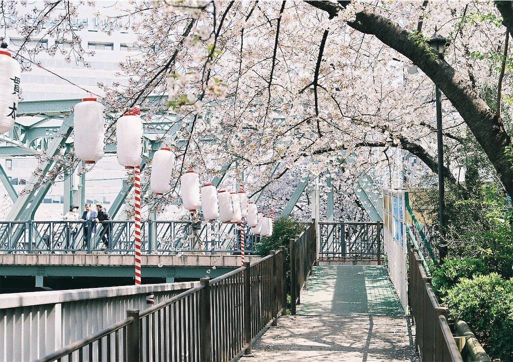 f:id:sweeteatime:20190609235827j:plain f:id:sweeteatime:20190609235827j:plain