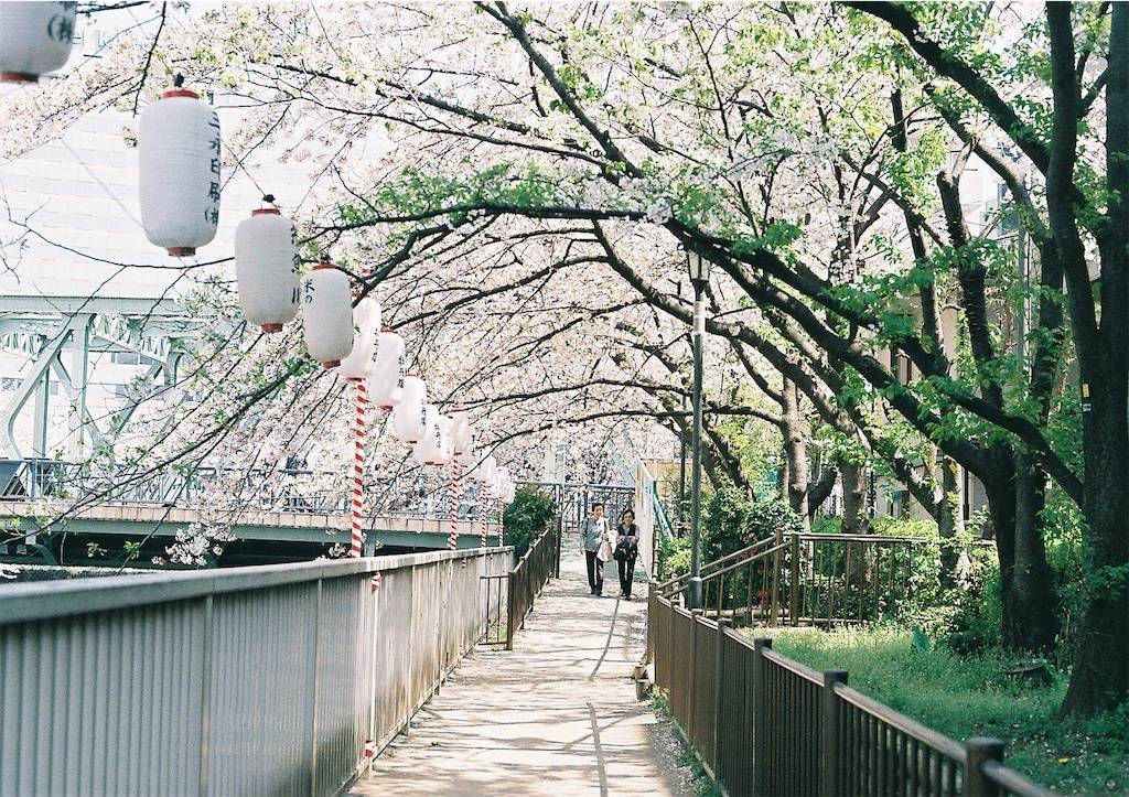 f:id:sweeteatime:20190609235830j:plain f:id:sweeteatime:20190609235830j:plain