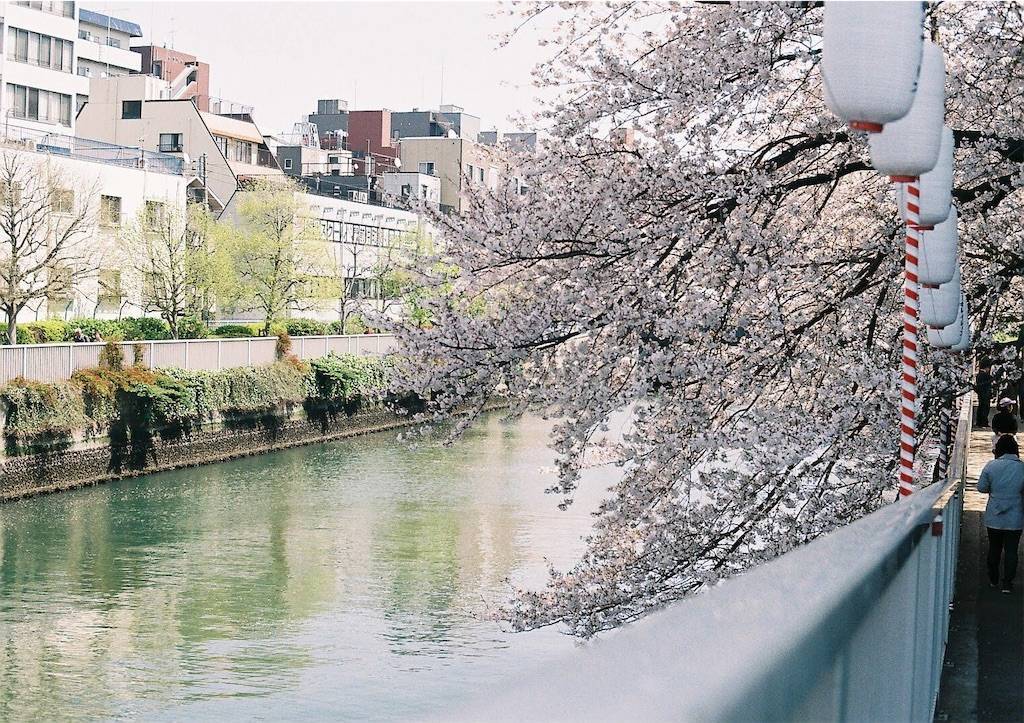 f:id:sweeteatime:20190609235836j:plain f:id:sweeteatime:20190609235836j:plain