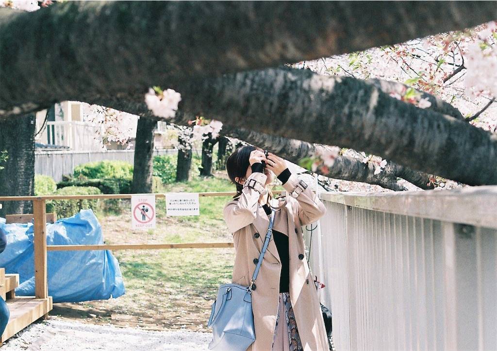 f:id:sweeteatime:20190609235849j:plain f:id:sweeteatime:20190609235849j:plain