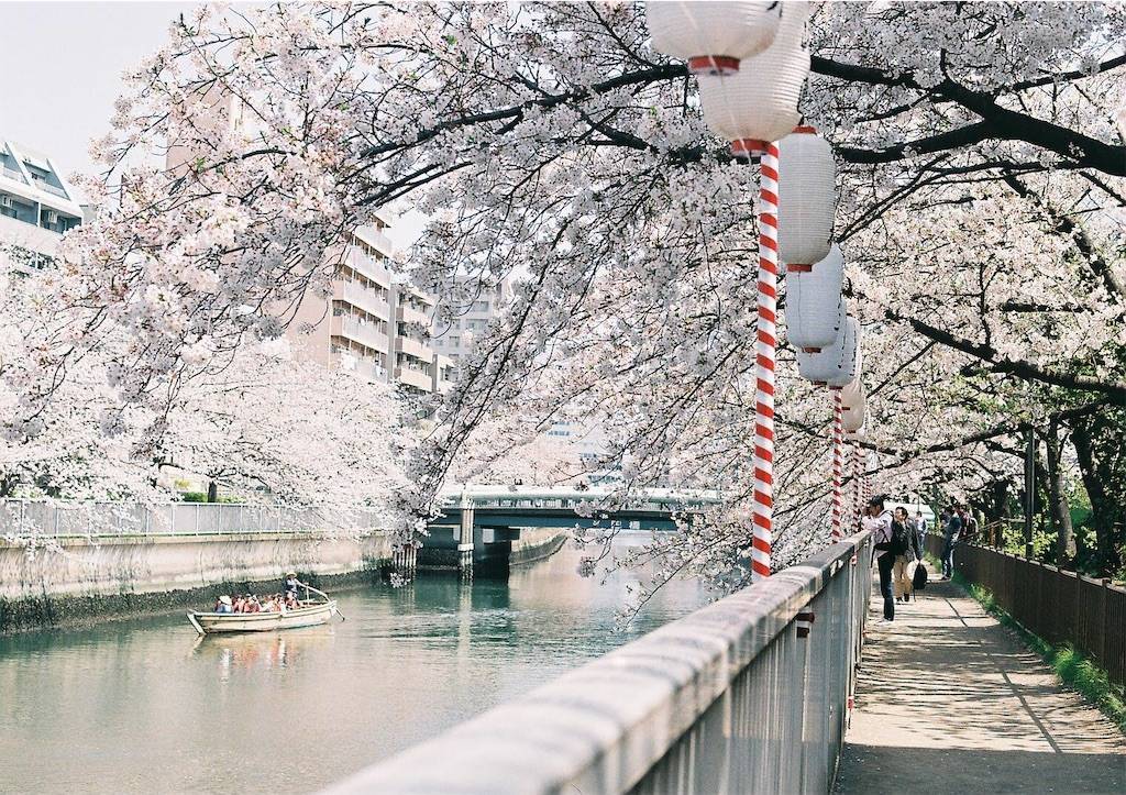f:id:sweeteatime:20190609235852j:plain f:id:sweeteatime:20190609235852j:plain