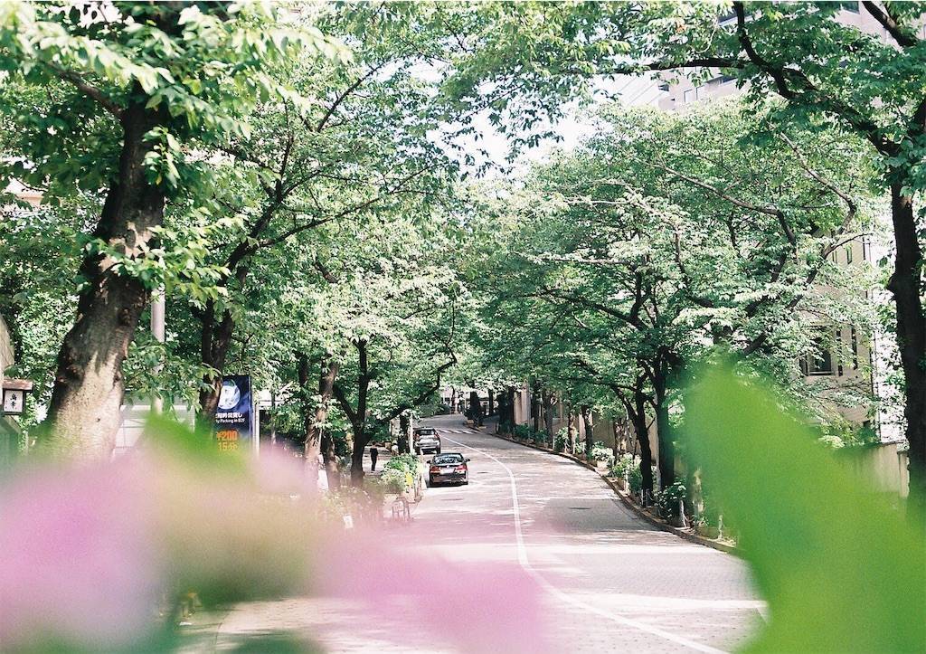 f:id:sweeteatime:20190703133224j:plain
