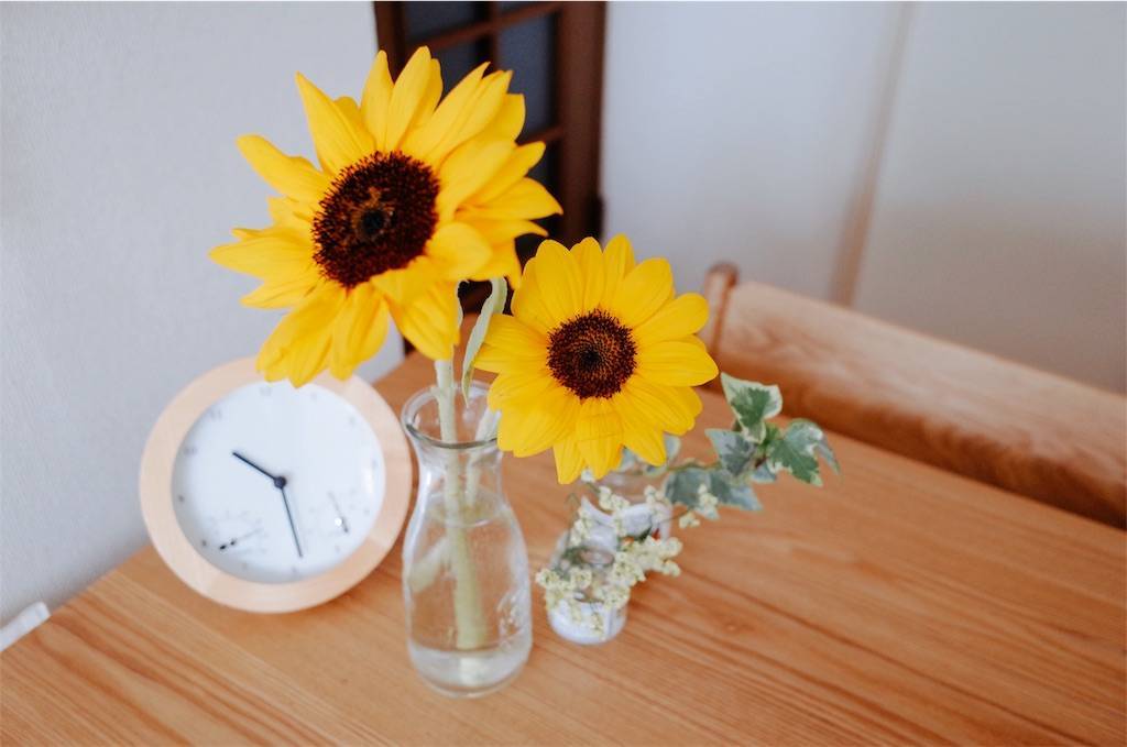 f:id:sweeteatime:20190713000936j:plain