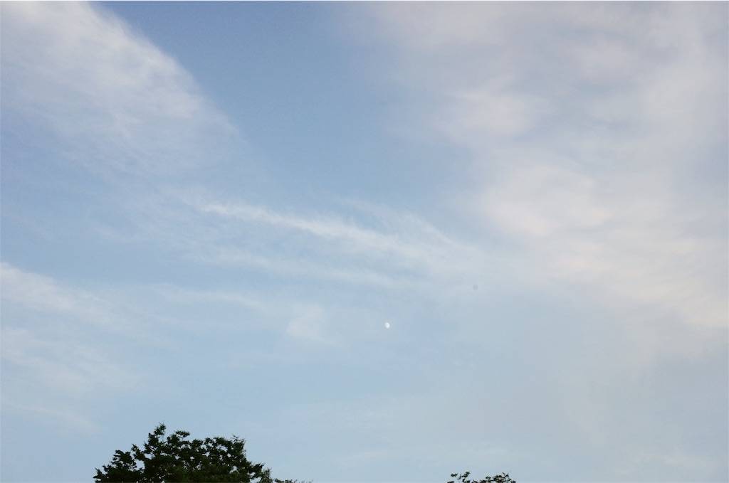 f:id:sweeteatime:20190810233806j:plain