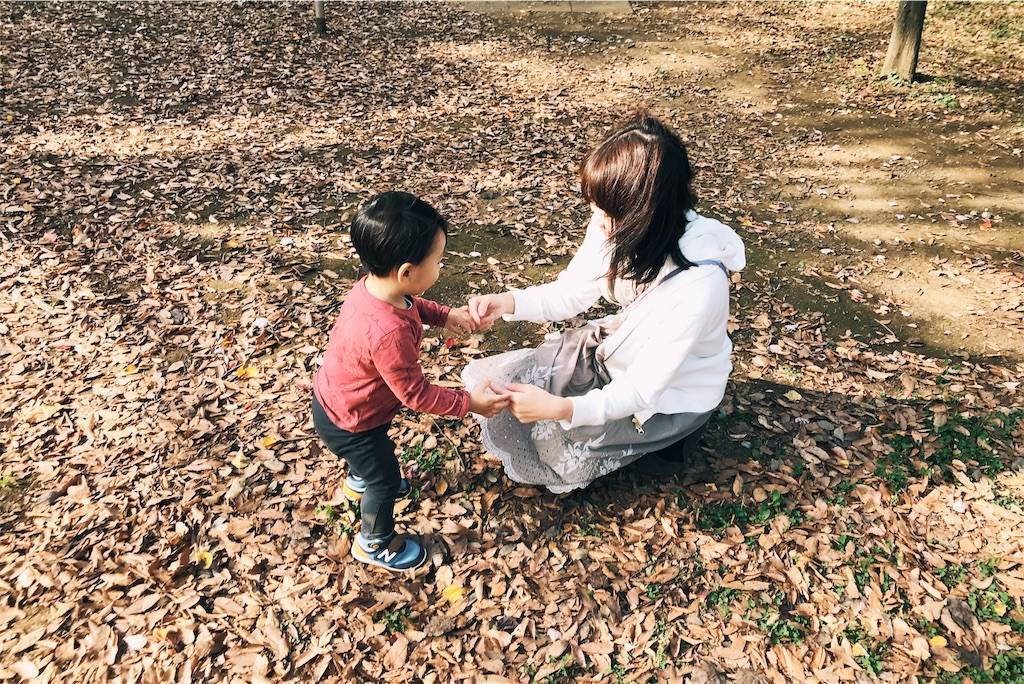 f:id:sweeteatime:20191117224958j:plain f:id:sweeteatime:20191117224958j:plain