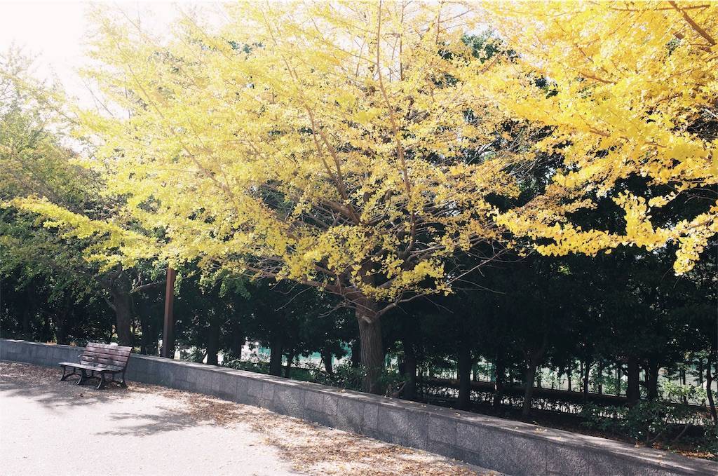 f:id:sweeteatime:20191117225030j:plain f:id:sweeteatime:20191117225030j:plain