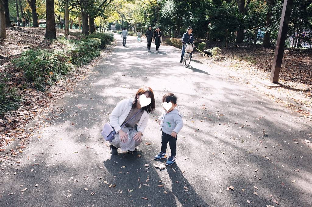 f:id:sweeteatime:20191118001356j:plain f:id:sweeteatime:20191118001356j:plain
