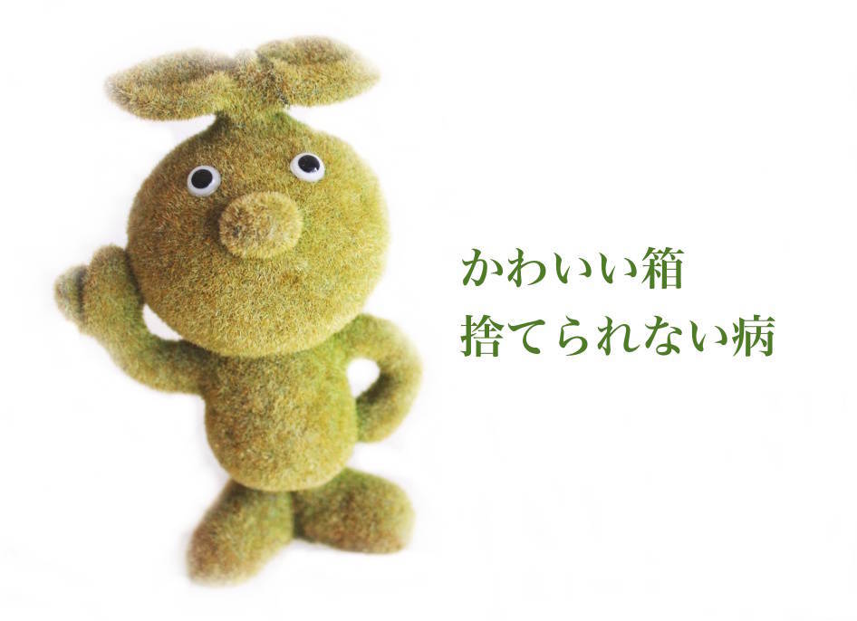 f:id:sweeteatime:20191118224707j:plain f:id:sweeteatime:20191118224707j:plain