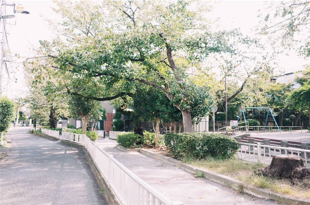 f:id:sweeteatime:20191119010434j:plain