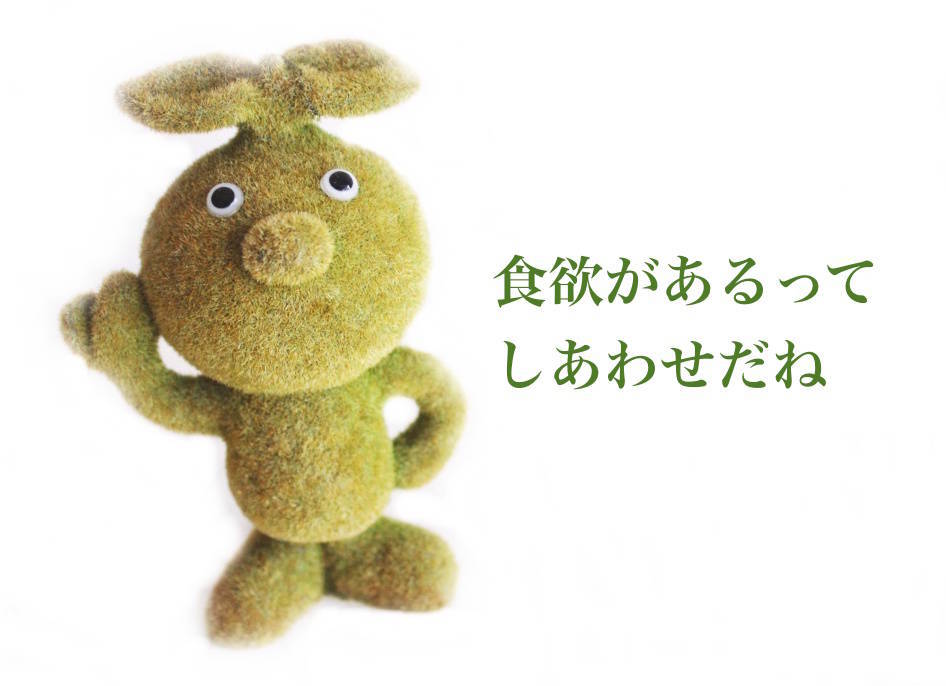 f:id:sweeteatime:20200219001554j:plain