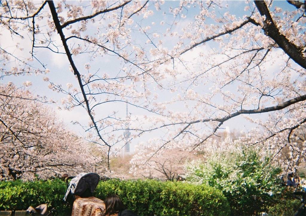 f:id:sweeteatime:20200324223610j:plain