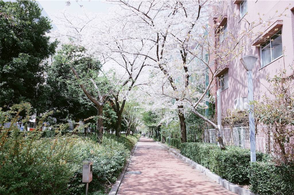 f:id:sweeteatime:20200411004325j:plain