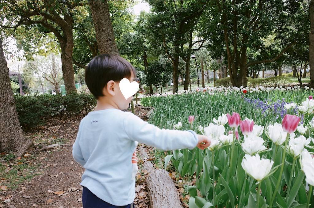 f:id:sweeteatime:20200416235915j:plain