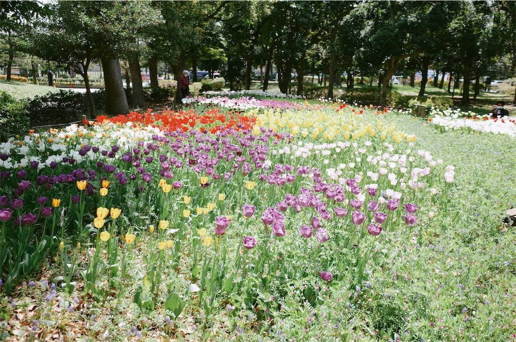 f:id:sweeteatime:20200417000056j:plain